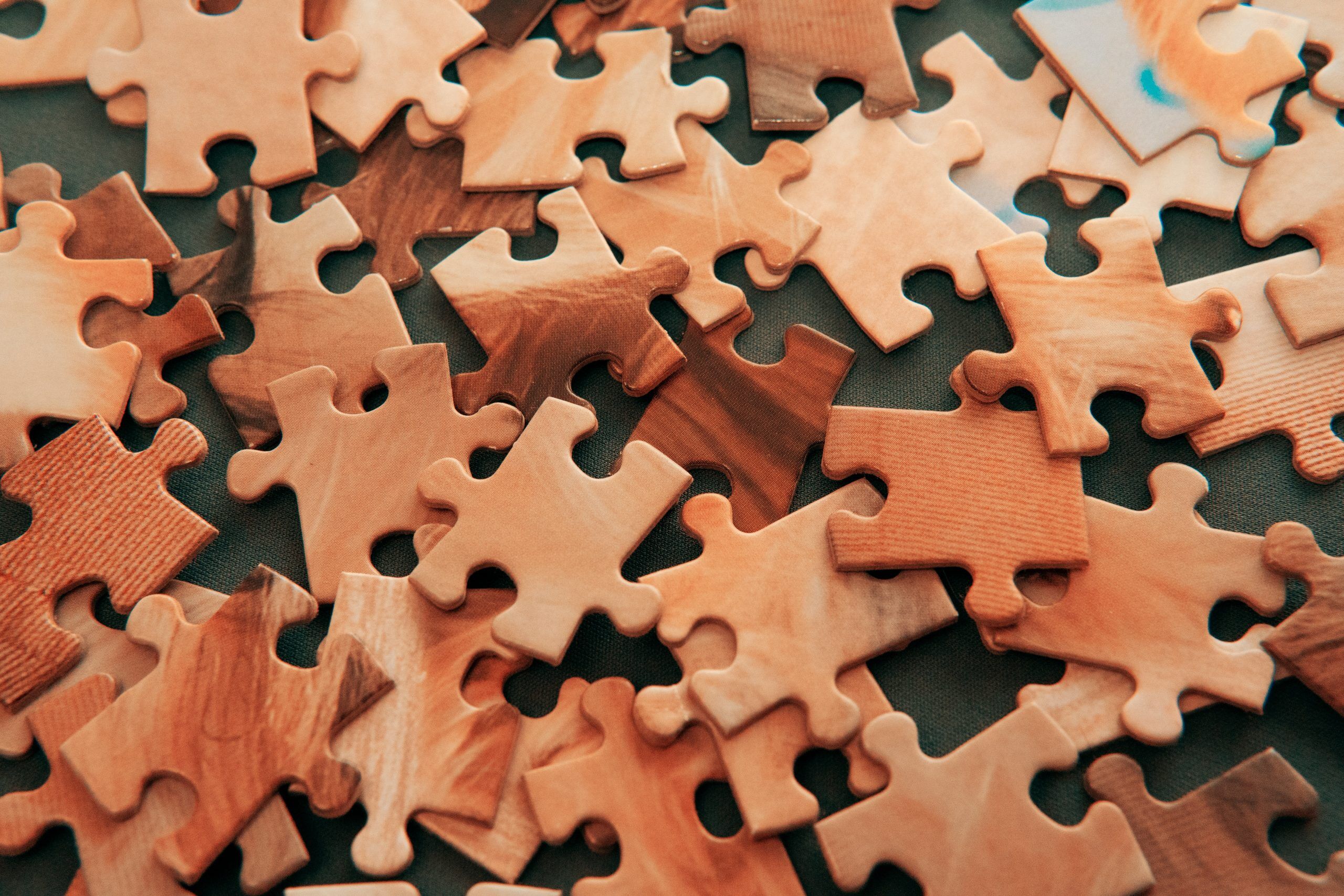 Decoding the franchise puzzle: a guide to evaluating opportunities