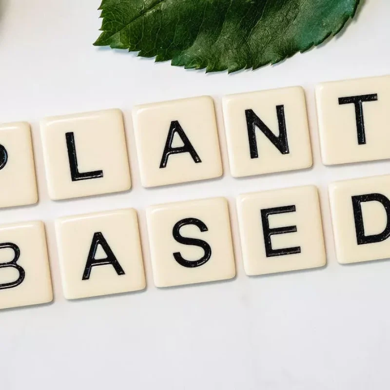 plant based (1)